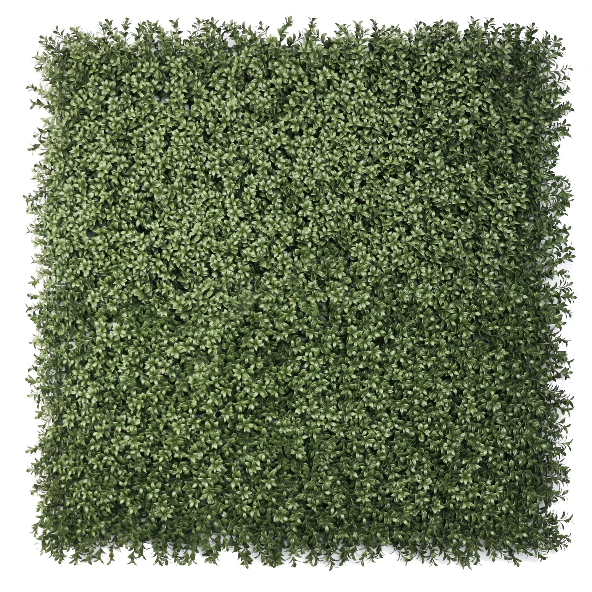 Dense Lush Boxwood Artificial Vertical Garden Green Wall Panel 40×40in 11 SQ FT – NFPA 701 Certified – UV Resistant – Commercial Grade