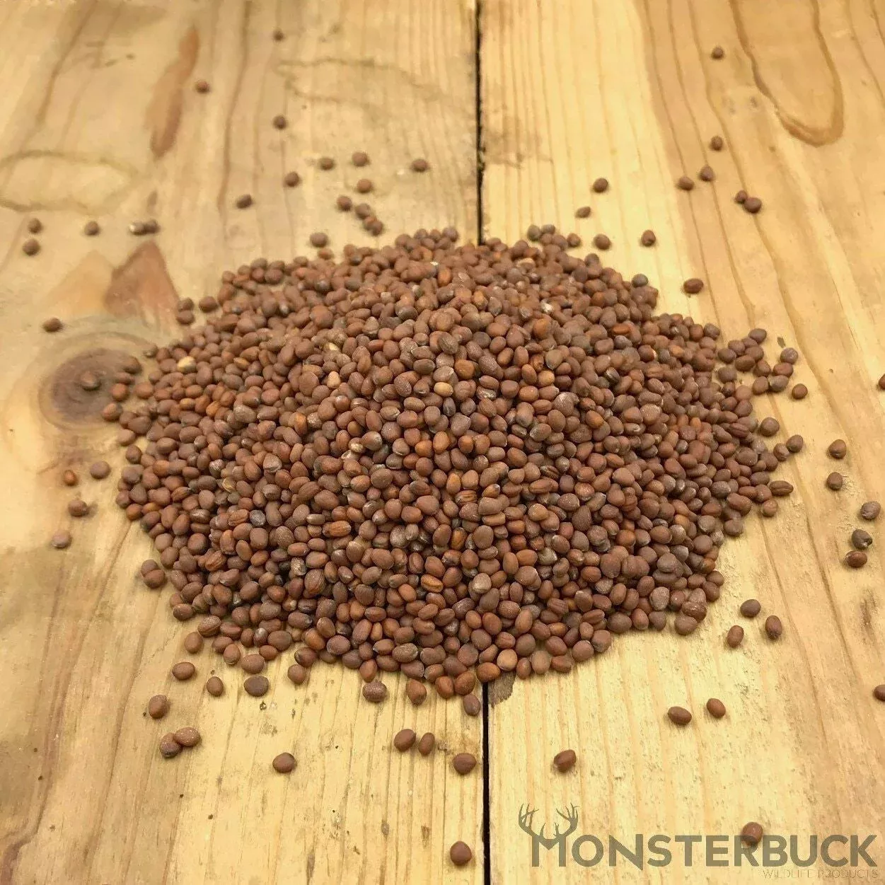 Forage Radish Food Plot Seed