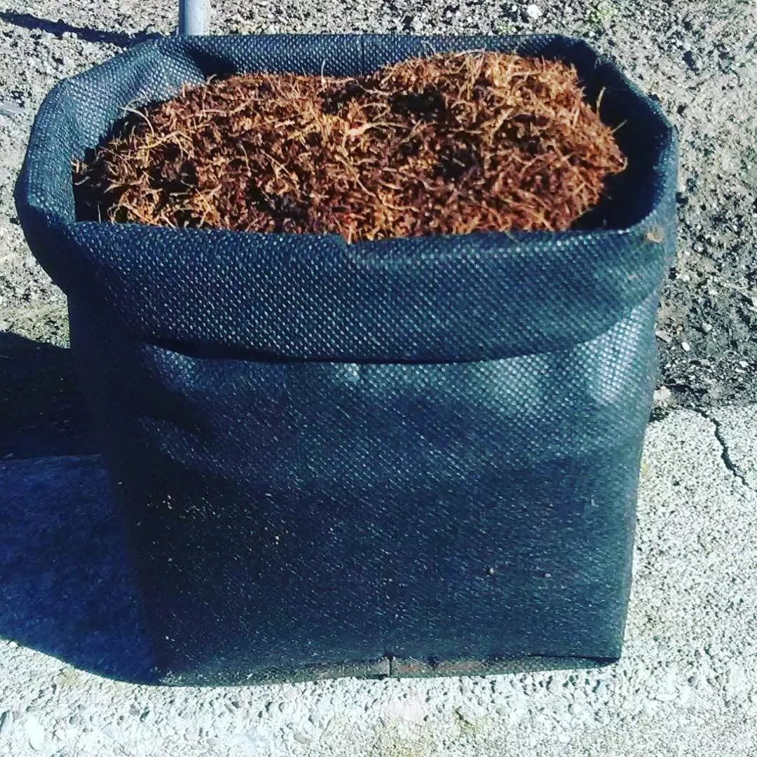 GroEzy™ 1.5 Gallon Expandable Pot