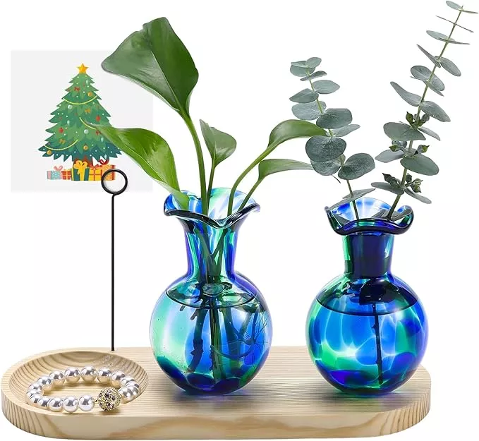 Hand Blown Glass Plant Propagation Stations Plant Terrarium Wooden Stand for Hydroponic Plants Combine Jewelry Tray and Photo Holder Office Home Garden Decor - 2 Bulb Glass Vases