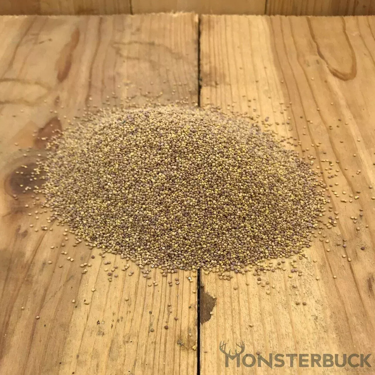 Ladino White Clover Food Plot Seed
