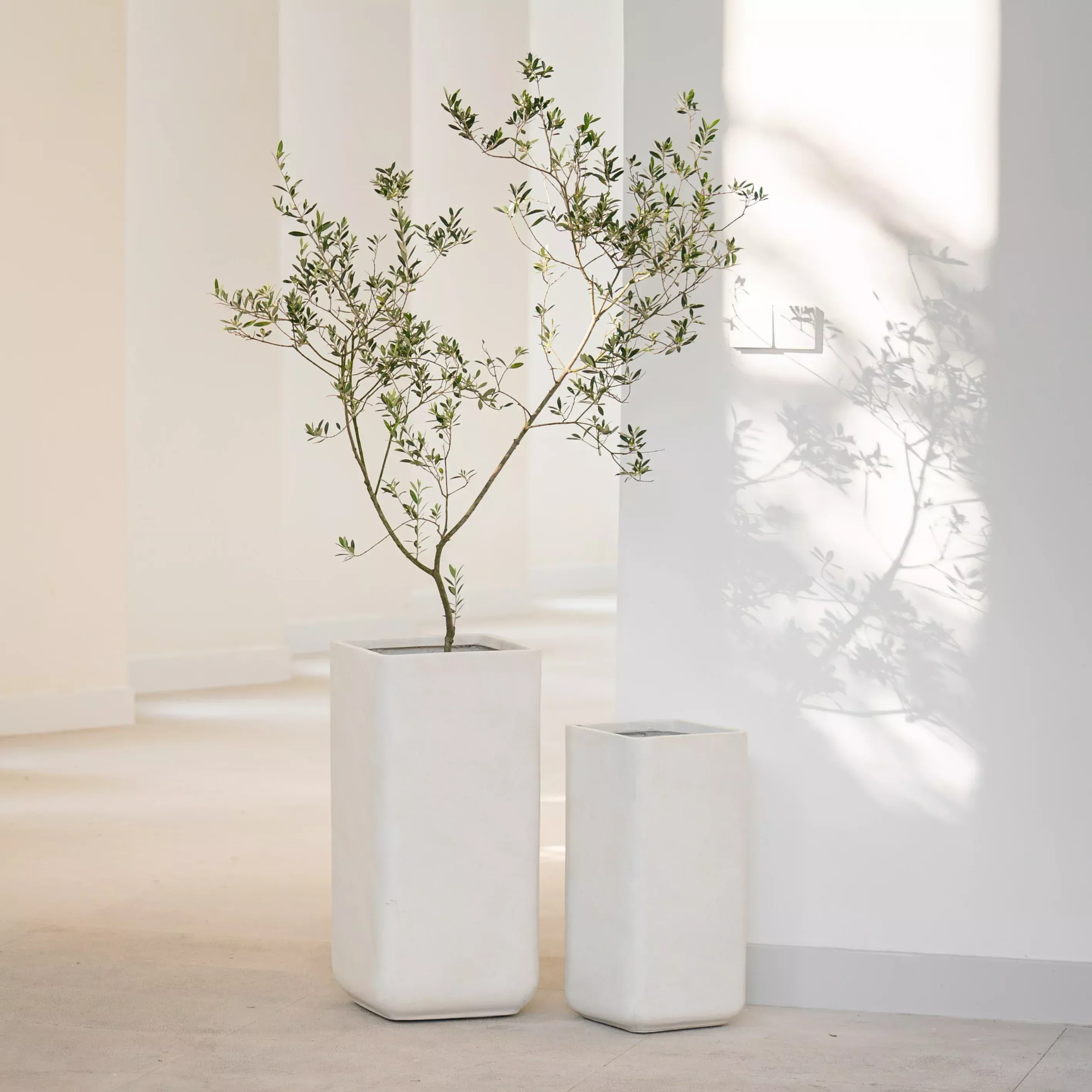 Large Ceramic-Finish Fiberglass Planter Pots – Indoor & Outdoor Garden Floor Planters