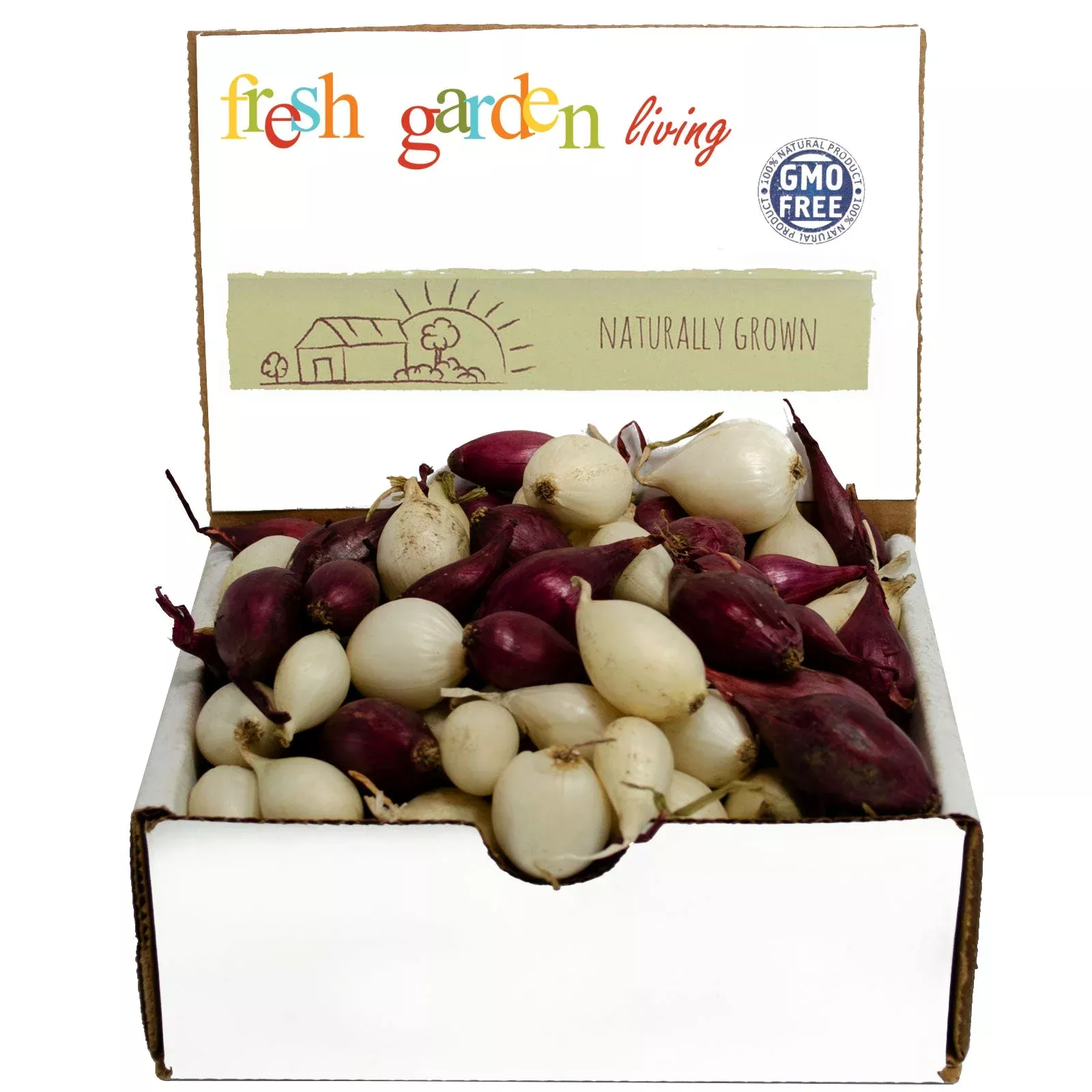 Mixed White Red Onion Sets 8 oz Bulbs Non-GMO Plant Anytime Year Round