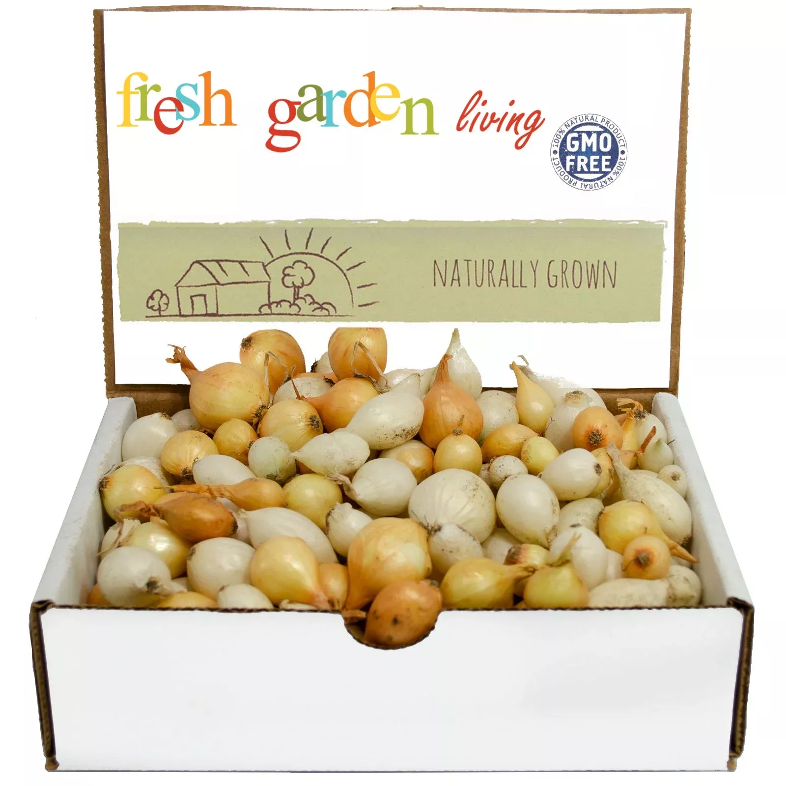 Mixed White & Yellow Onion Sets 1 Lb. Non-GMO Bulbs Plant Anytime Year Round