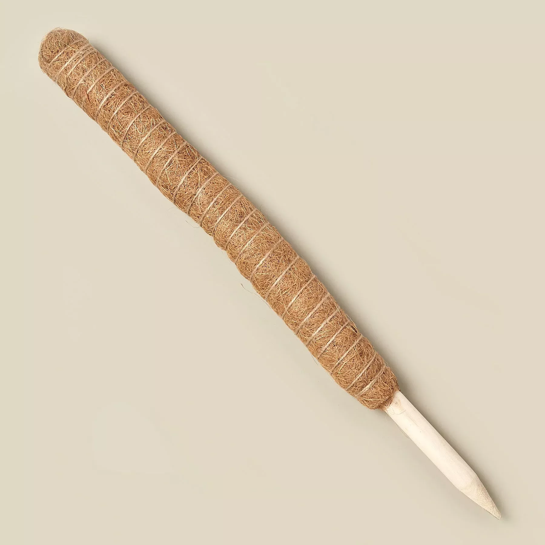 Moss Pole - 22in.
