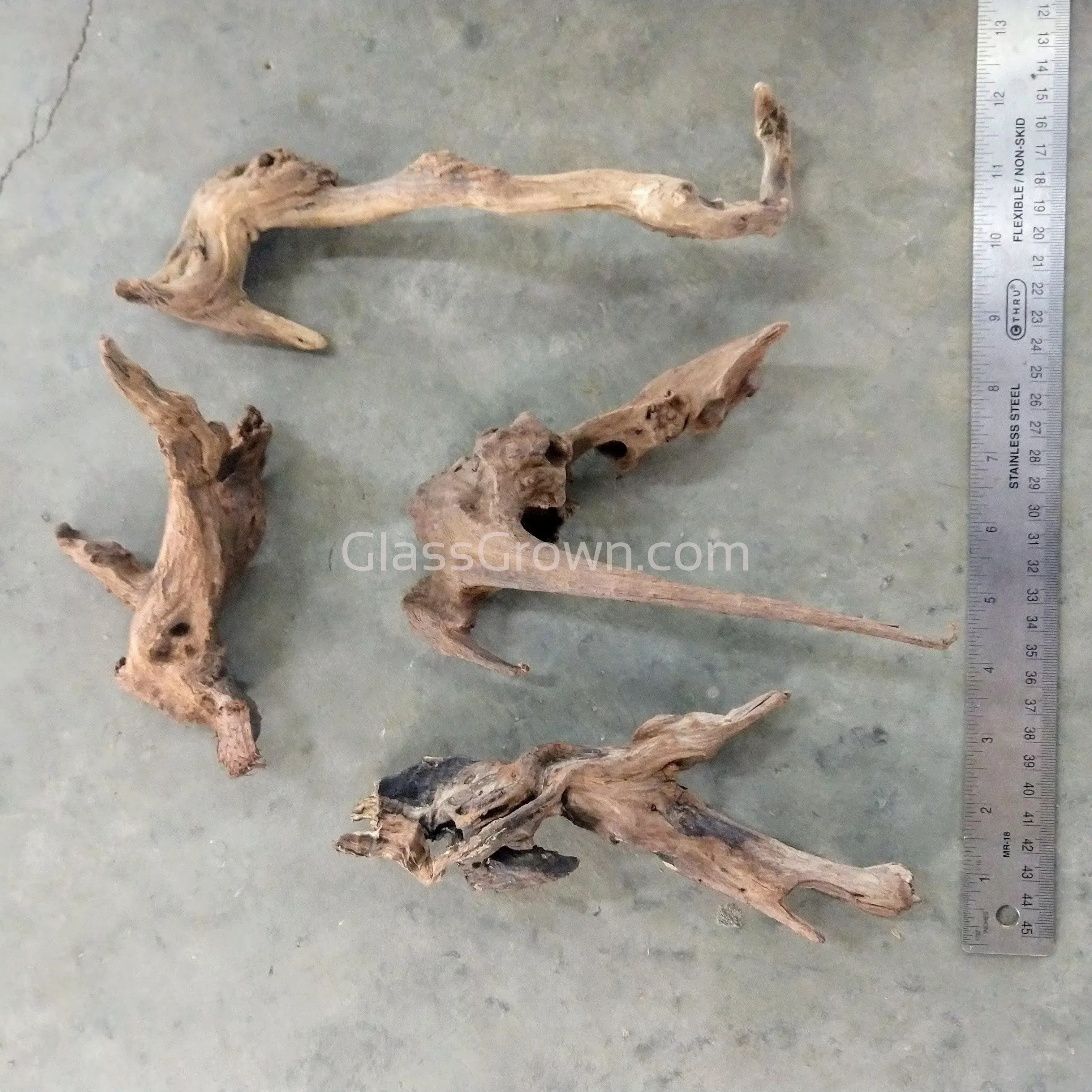 Pacific Driftwood Medium (6"+)