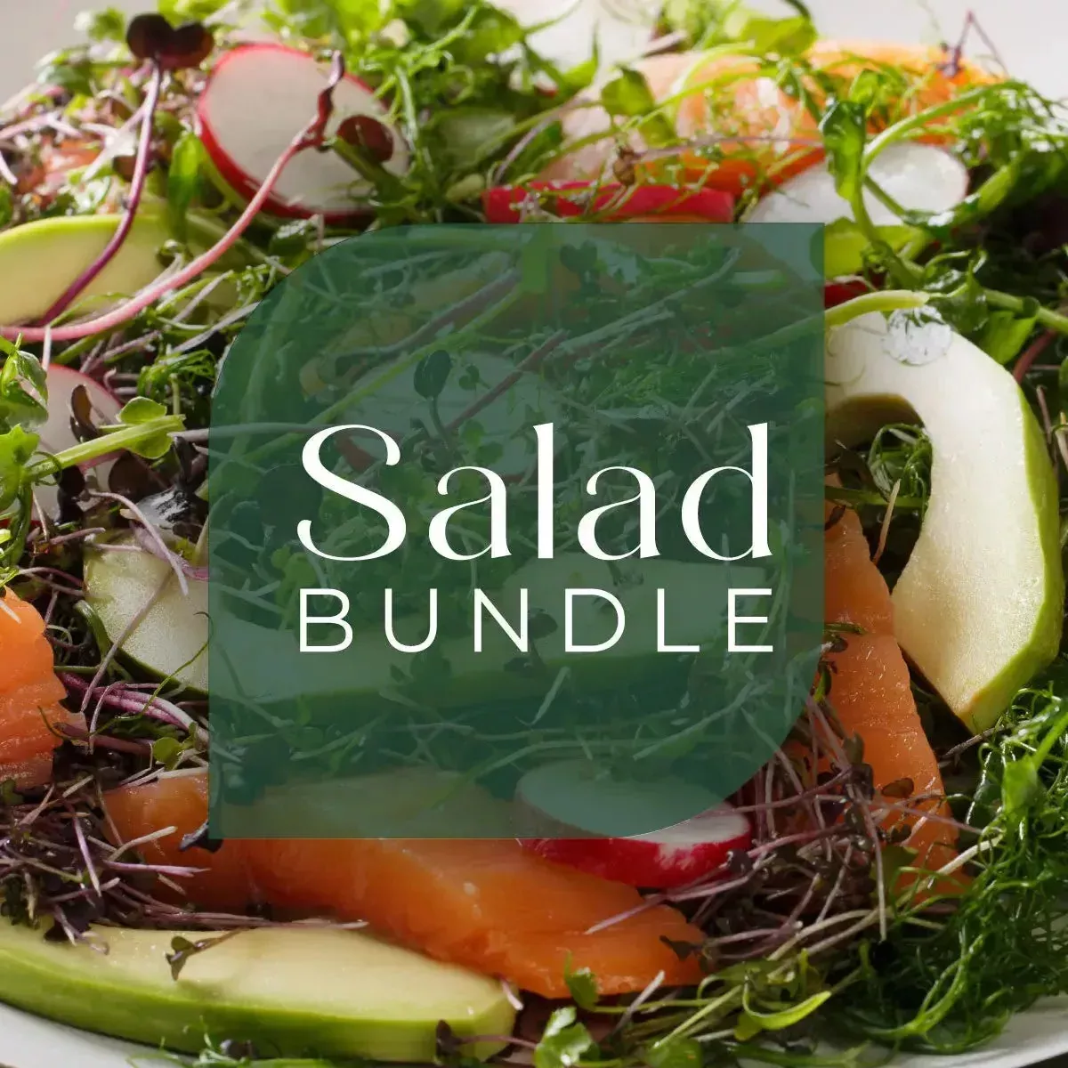 Salad Bundle - 9 Tray Pack