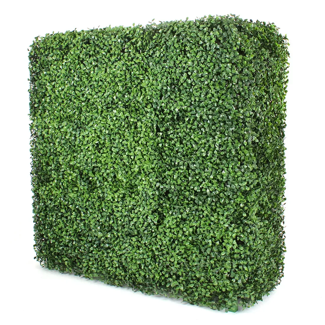 Square Boxwood Hedge Wall
