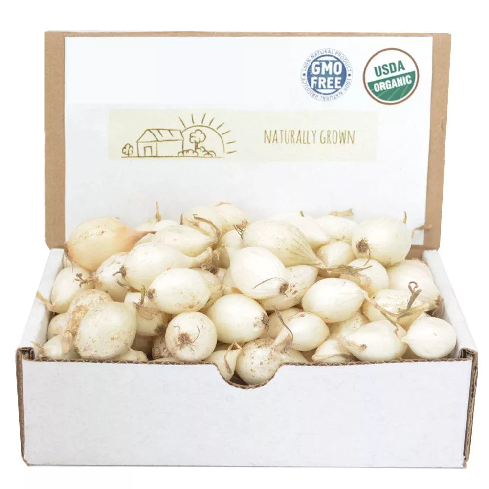 White Onion Sets 1 Lb. Non-GMO White Ebenezer Variety Bulbs Plant Anytime